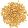 Fenugreek