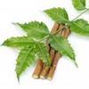 Neem Extract