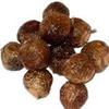 Reetha Extract