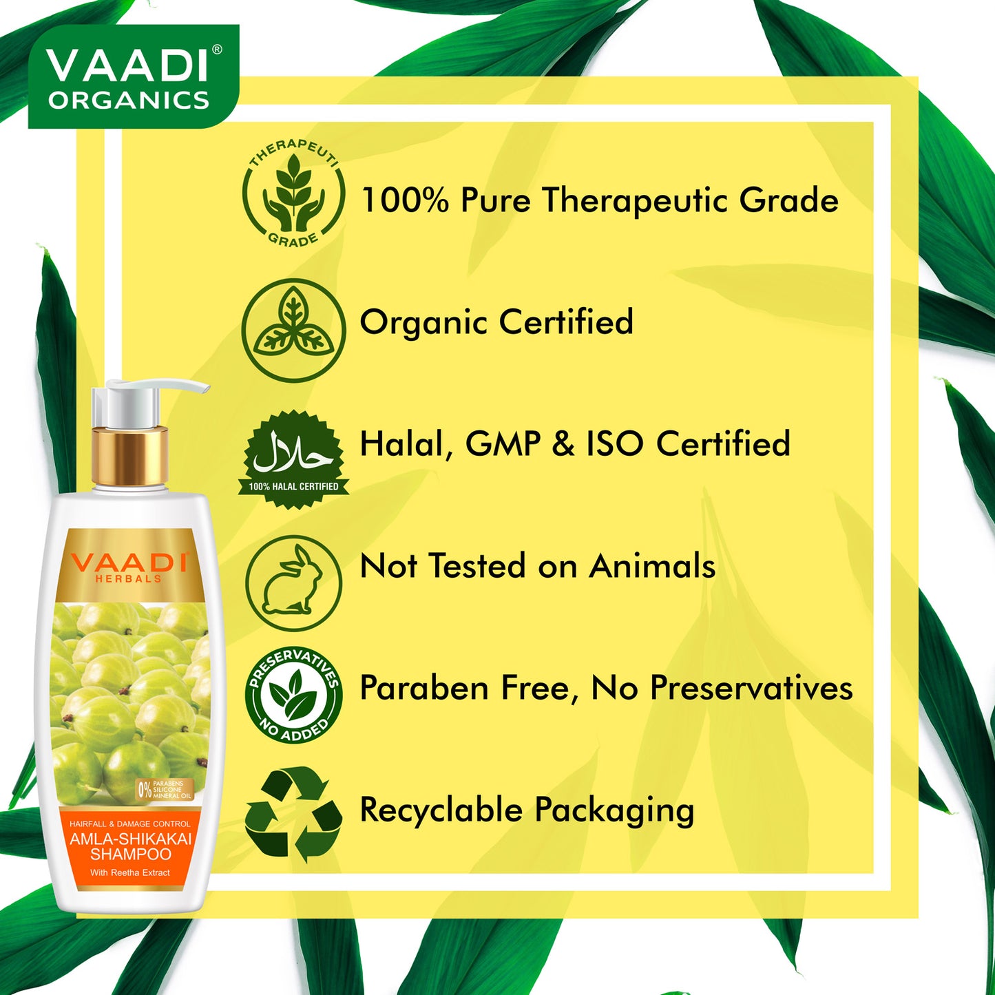 Hairfall & Damage Control amla shikakal Shampoo (Indian Gooseberry Extract) - Promotes Hair Growth Adds Shine to Hair (3 x 350 ml/12 fl oz)