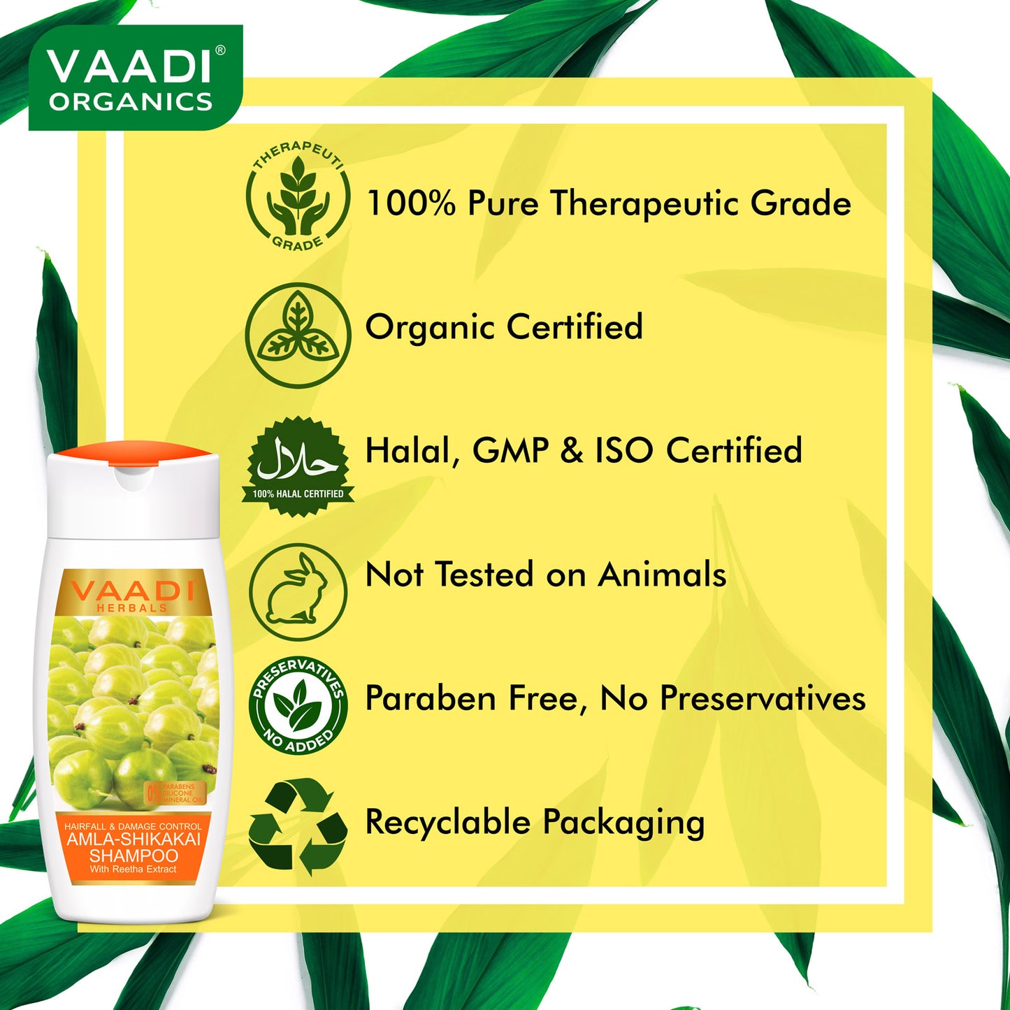 Hairfall & Damage Control amla shikakal Organic Shampoo (Indian Gooseberry Extract) - Promotes Hair Growth Adds Shine to Hair (3 x 110 ml/4 fl oz)