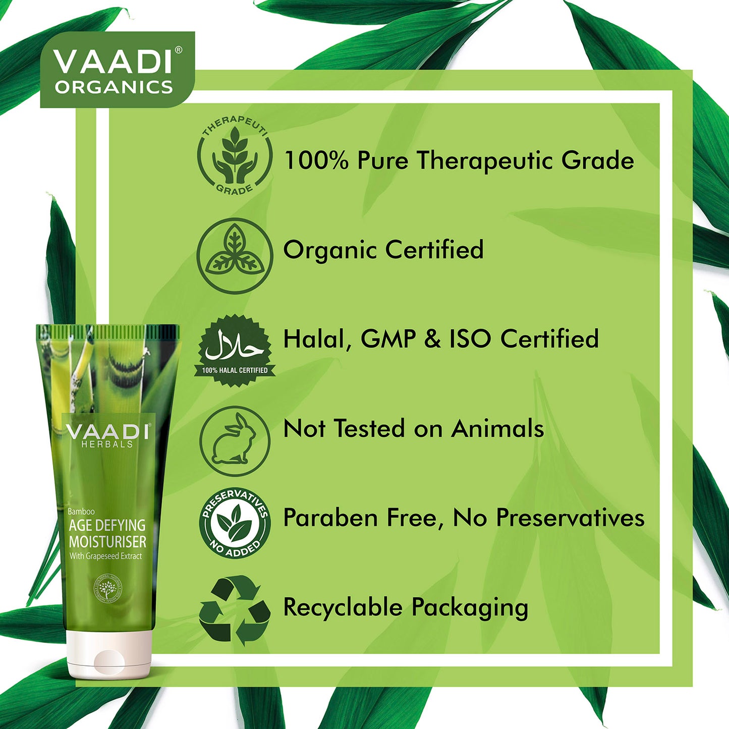 Bamboo Age Defying Moisturiser with Grapeseed Extract - Anti Oxidant Rich Keeps Skin Firm Delays Wrinkles (60 ml/ 2.1 fl oz)
