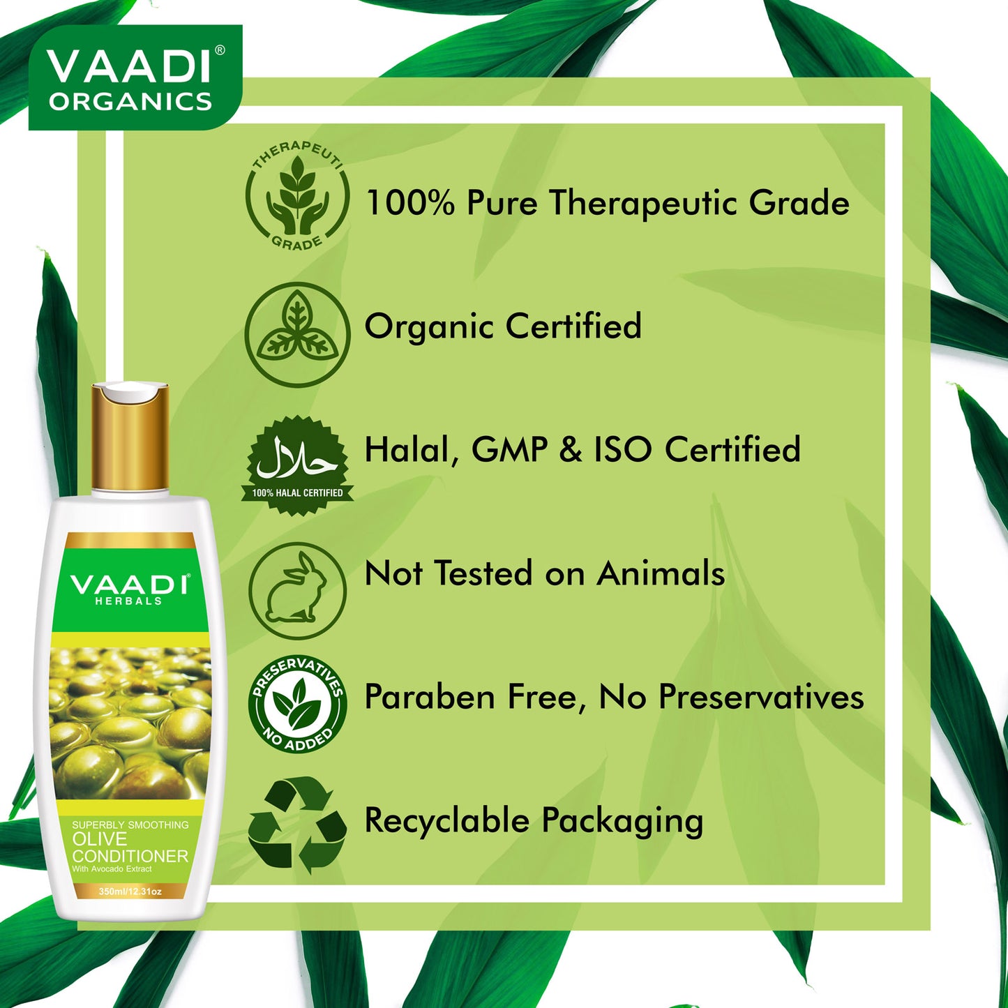 Multi Vitamin Organic Rich Olive Conditioner with Avocado Extract - Makes Hair Lustrous Adds Bounce to Hair (350 ml/ 12 fl oz)