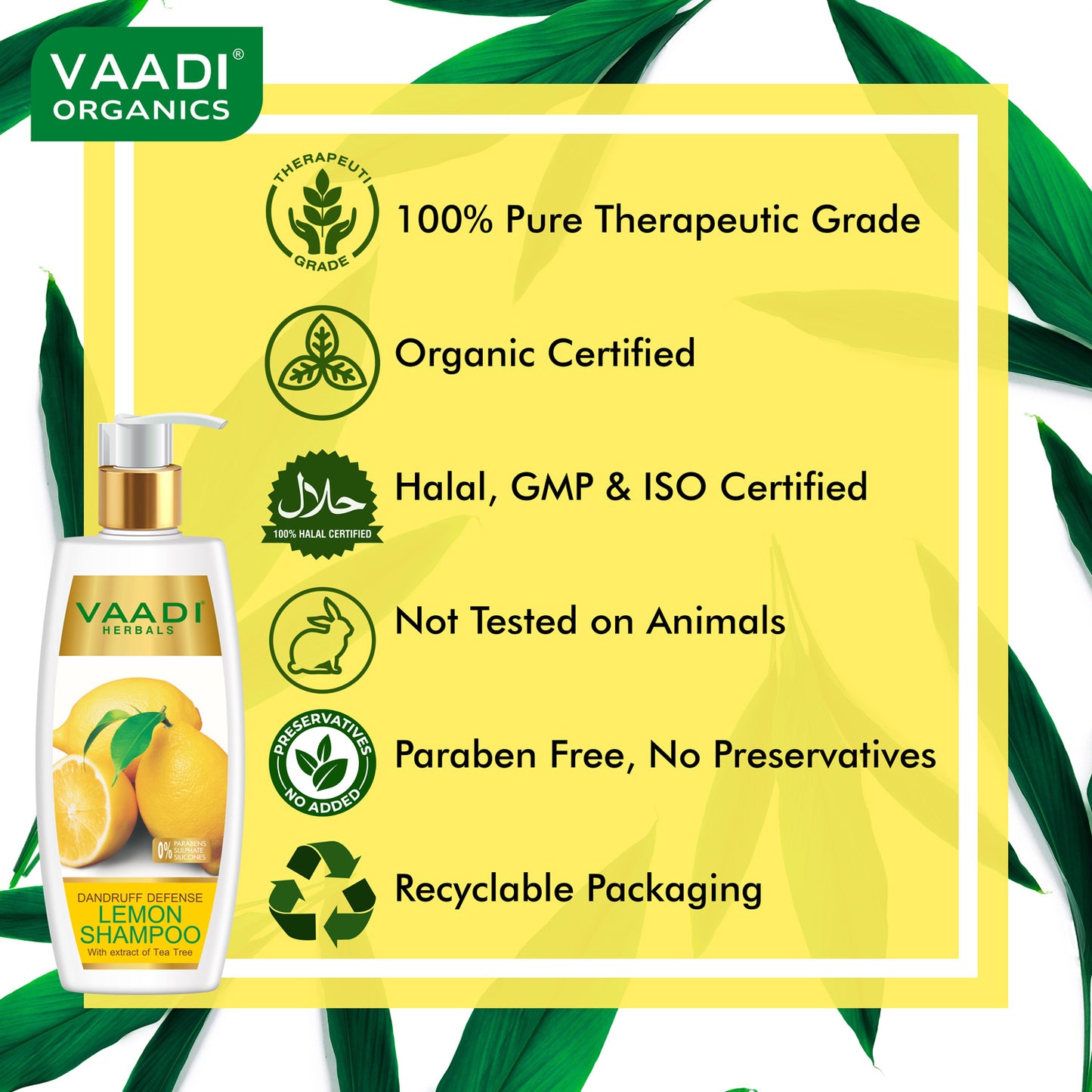 Dandruff Defense Lemon Shampoo with Tea Tree Extract - Disinfects Scalp Prevents Hairfall (3 x 350 ml/ 12 fl oz)