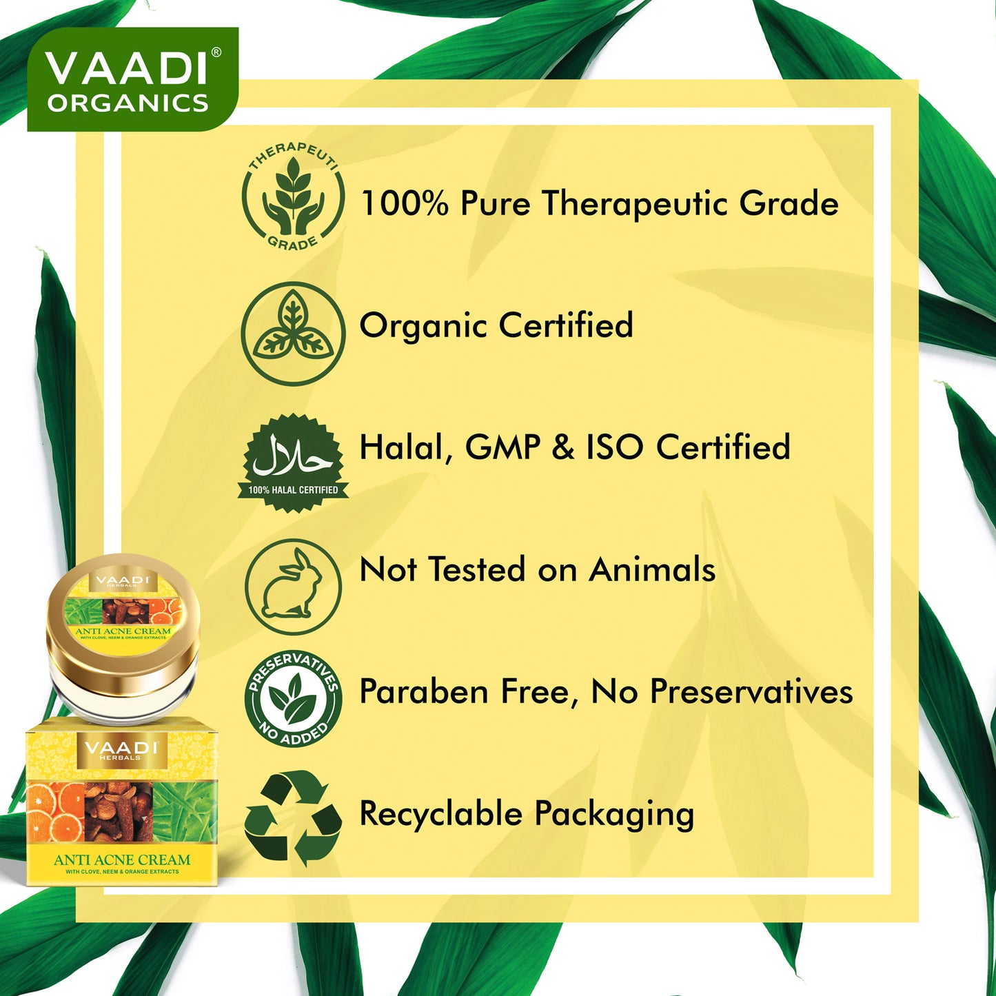 Anti Acne Organic Cream with Clove Oil & Neem Extract - Anti Bacterial Therapy Controls Excess Oil Prevents Acne (3 x 30 gms / 1.1 oz)