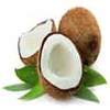 Coconut