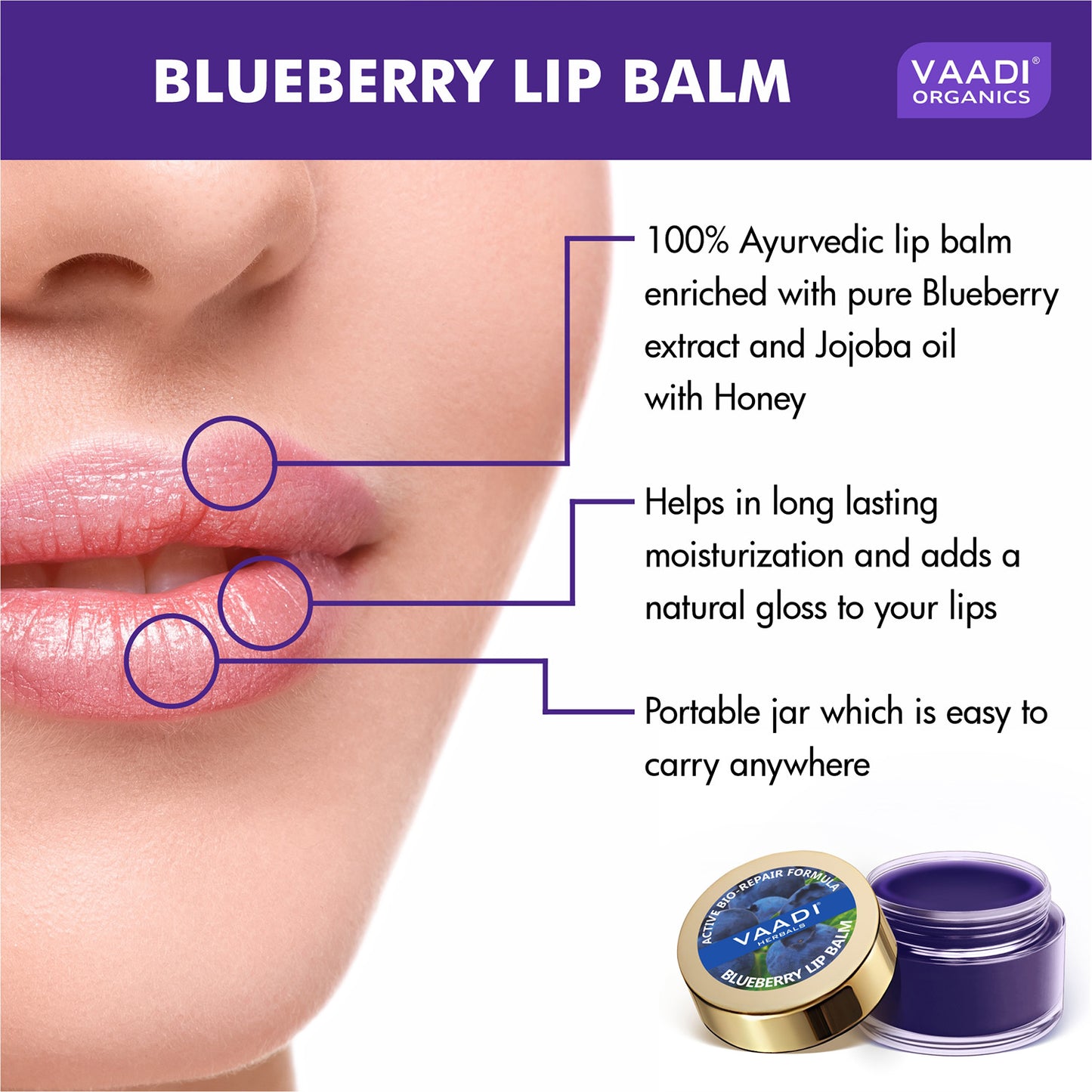 Bio Repair Therapy  Blueberry Lip Balm - (4 x 10 gms/ 0.4 oz)