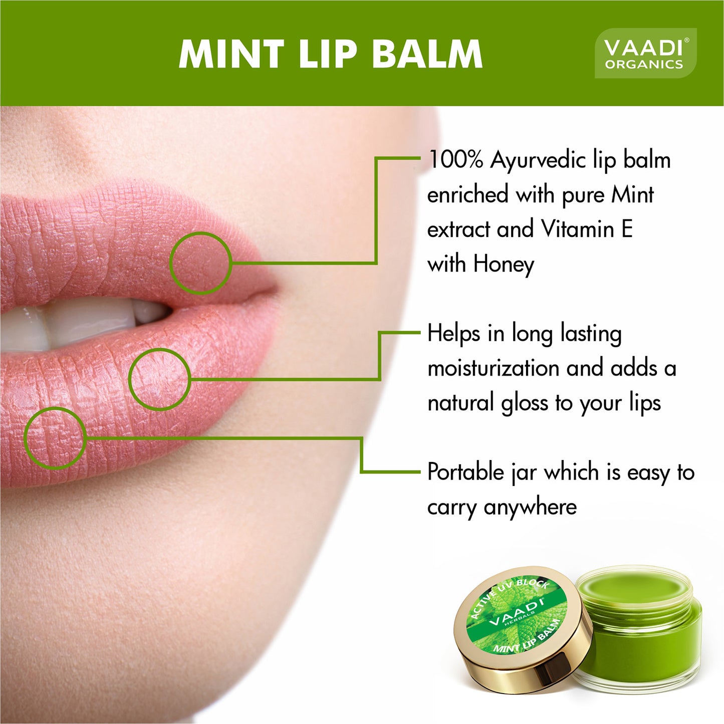 Ultra Moisturising Mint Lip Balm - (8 x 10 gms / 0.4 oz)