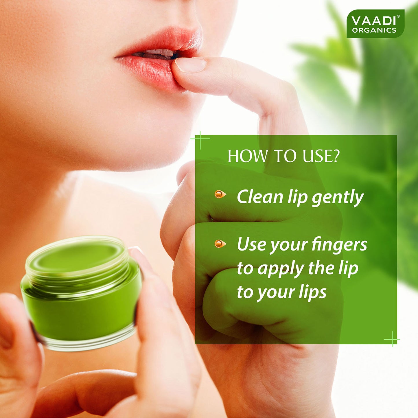 Mint Lip Balm - Lip Renewing Therapy (10 gms / 0.4 oz)