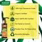 Hairfall & Damage Control  amla shikakal  Shampoo (Indian Gooseberry Extract) - Promotes Hair Growth Adds Shine to Hair (110 ml/4 fl oz)