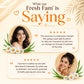 Sunscreen Lotion SPF 50 with Aloe Vera & Chamomile - Non Greasy - Long Lasting _ Soothes Burnt Skin (3 x 110 ml/ 4 fl oz)