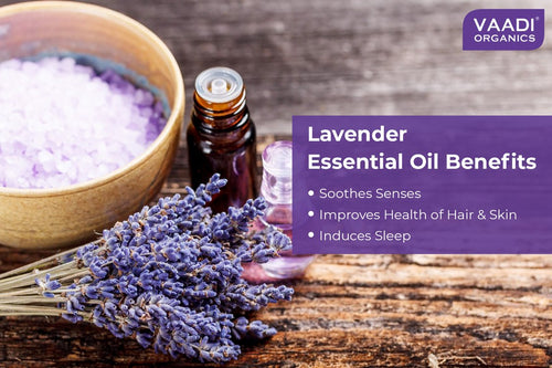 Thumbnail Organic Lavender Essential Oil 