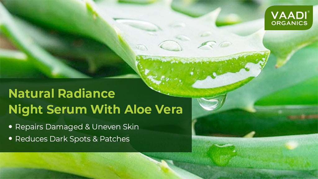Organic Natural Radiance Night Serum with Aloe Vera 